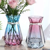 【两件套】欧式玻璃花瓶透明彩色水培植物富贵竹干花装饰插花摆件