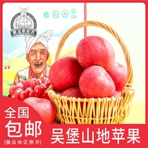 陕北果老大榆林山地苹果红富士精品礼盒泡沫装12颗水果顺丰包邮