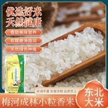 东北大米珍珠米寿司米小粒香米粳米谷物家用袋装圆粒米饭软糯5kg