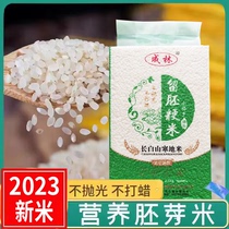 2023年新米东北大米梅河新鲜现磨10斤装不抛光香米软糯胚芽米粳米