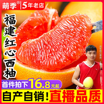 现货福建红心西柚鲜果3-9斤当季新鲜国产孕妇水果红肉红葡萄柚子