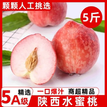 陕西水蜜桃5斤新鲜桃子水果当季现摘整箱毛桃子油脆甜桃大果包邮3