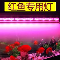 鱼缸红灯led魔红防水增色照明龙鱼灯鹦鹉罗汉锦鲤发财鱼专用灯管