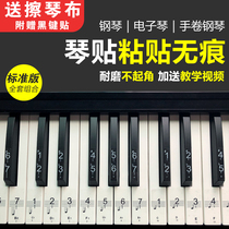 钢琴电子琴键盘贴纸88键61键54键初学者五线谱简谱音符音标按键贴