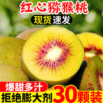 四川蒲江红心猕猴桃30枚现摘新鲜孕妇水果奇异果当季狝猴桃一整箱