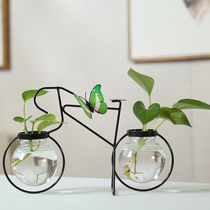 创意绿萝水培绿植玻璃透明花瓶插花水养花盆铁艺器皿桌面客厅摆件