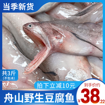 舟山特产龙头鱼新鲜豆腐鱼海鲜鲜活冷冻水产九肚鱼生鲜水潺3斤装