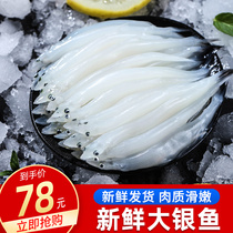 银鱼新鲜海鲜水产冷冻面条鱼白饭鱼鱼类辅食1000g包邮大银鱼
