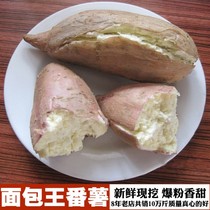茂名高州特产爆皮王农家新鲜地瓜白肉粉红薯蕃-面包王番薯5斤包邮