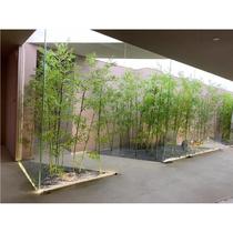 古风新中式竹林造景户外庭院展示民宿走廊装饰仿真竹子装饰假竹子