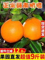 江西赣南脐橙9斤大果新鲜橙子当季水果手剥冰糖甜橙果冻橙赣州10