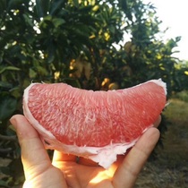 平和琯溪蜜柚三红柚应季水果甜多汁孕妇果子老农家产地直销新品