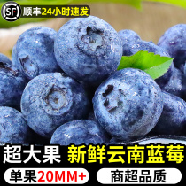 云南蓝莓新鲜当季水果高山怡颗甜蓝莓蓝梅鲜果孕妇大果现货速发
