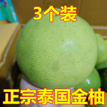 正宗泰国金柚3个装大果泰国柚子青柚蜜柚甜柚子当季新鲜孕妇水果