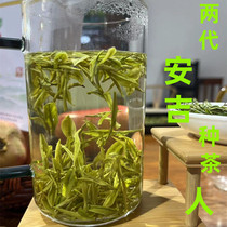 安吉白茶2022新茶正宗云雾高山绿茶特级一芽一叶核心产区散装茶叶