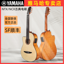 YAMAHA雅马哈NTX500/NCX700/900古典电箱尼龙弦吉他专业表演奏级