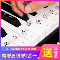 钢琴通用贴纸88键透明61电子琴按键盘音标贴音符不粘五线简谱配件