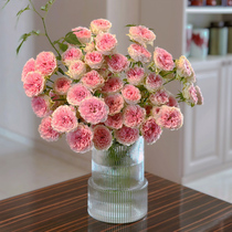 花瓶摆件客厅插花高级感玻璃透明水养玫瑰郁金香水培鲜花百合点意