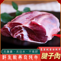 甘肃白牦牛肉新鲜牛腱子肉5斤装 牛腩腱子肉鲜牛肉低脂生鲜食材