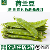 【千牛优福】新鲜荷兰豆500g 新鲜蔬菜甜豆青豆菜豌豆