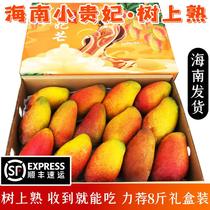 【顺丰】树上熟小贵妃芒果海南三亚新鲜水果当季小芒果5/8斤