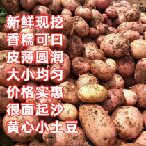 云南昭通小土豆新鲜马铃薯洋芋带箱10斤粉糯甘香软糯可口肉质细腻