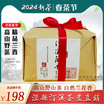 【野茶】泾县兰香 2024新茶高山兰香明前特级茶叶炒青安徽绿茶