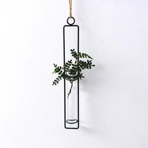 创意悬挂麻绳水培挂件铁艺玻璃花瓶客厅壁挂水培绿萝植物容器壁饰
