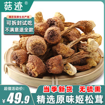 菇迹 姬松茸250克神农架特产干货非野生巴西松茸菌菇新鲜食用蘑菇