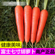 胡萝卜种子 富士七寸胡萝卜种籽 高产春秋两季蔬菜大面积庭院包邮