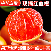 血橙橙子新鲜水果中华红橙当季冰糖手剥果冻橙脐整箱雪橙甜橙包邮