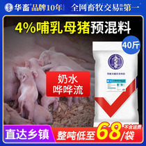 华畜4%哺乳母猪预混料 猪饲料哺乳期猪场用 增加泌乳量防便秘裂蹄