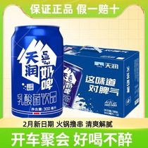 新疆天润奶啤300mlX12罐 非啤酒整箱佳丽酸奶乳酸发酵菌饮料