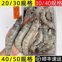 盐冻虾白虾海虾20304050单冻冷冻大虾对虾烧烤水产南美虾厄瓜多尔