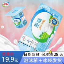 伊利酸奶16杯装风味发酵乳原味活性乳酸菌早餐奶低脂高钙酸奶整箱