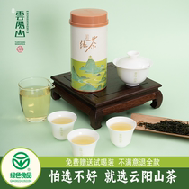 云阳山绿茶2024新茶湖南冷泡绿茶茶叶自己喝浓香绿茶高山绿茶罐装