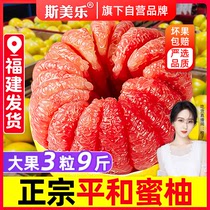 斯美乐福建平和红心柚子9斤新鲜水果当季红肉蜜柚礼盒三红琯溪柚