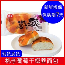 桃李葡萄干椰蓉面包学生营养健康零食品早代餐网红果仁面包蛋糕点