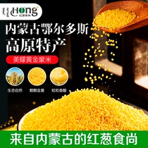 内蒙古大启食品红葱食尚鄂尔多斯黄金糜米五谷杂粮产月子小米