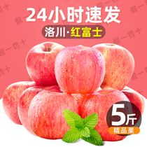 陕西洛川红富士苹果2.5kg 单果重240g+ 水果新鲜脆甜平果整箱包邮