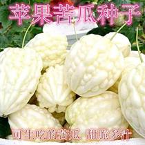 正宗台湾白苹果苦瓜种子 甜脆多汁生吃不苦甘甜 时尚蔬果蔬菜种子