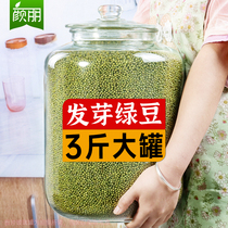 【优选罐装】发芽绿豆3斤发豆芽的绿豆 发豆芽菜专用豆子神器芽豆