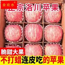 【限时秒杀】洛川红富士苹果10斤应当季新鲜水果整箱山东栖霞脆甜