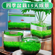 生态玻璃鱼缸客厅小型乌龟缸桌面办公室透明玻璃圆形迷你水草缸