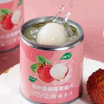 乌叶荔枝椰果罐头水果200g*6罐甜品水果捞果汁罐装饮品