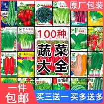 四季蔬菜种子菜园阳台盆栽香菜菠菜青菜葱油麦菜白菜萝卜种籽大全