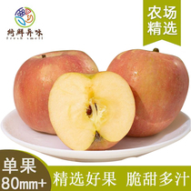【芭芭农场3月兑换】陕西铜川红富士苹果3斤单果80mm+