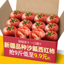 正宗新疆品种自然熟沙瓤<em>西红柿</em>10斤普罗旺斯现摘新鲜水果蔬菜番茄