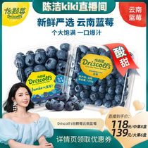 【k姐推荐】Driscoll's怡颗莓云南蓝莓中大果 125g新鲜当季水果