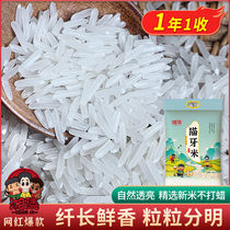 干饭兄弟视频同款大米湘集新米晚稻米农家米猫牙米长粒香米丝苗米